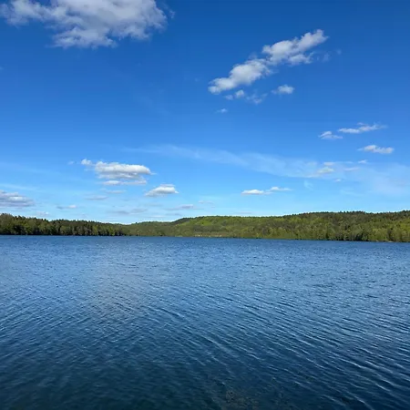 Gryfne Kaszuby Dom wakacyjny *