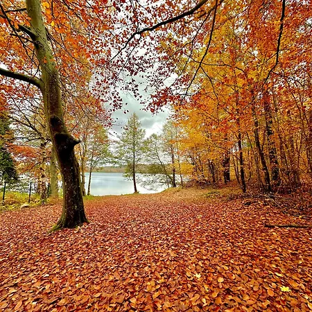 Dom wakacyjny Gryfne Kaszuby Kamienica Krolewska