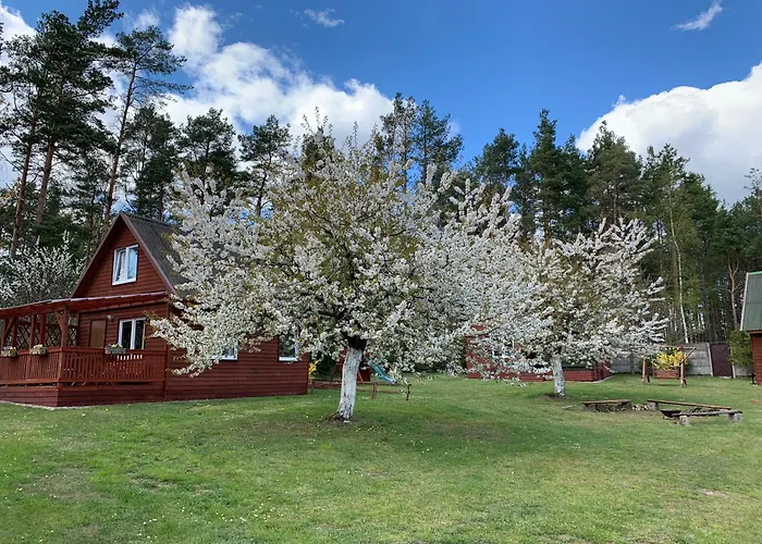 Gryfne Kaszuby بيت للعطل Kamienica Krolewska