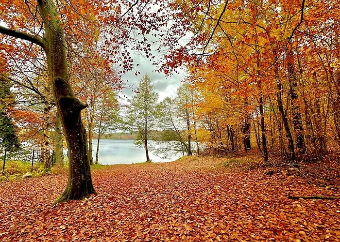 بيت للعطل Gryfne Kaszuby Kamienica Krolewska
